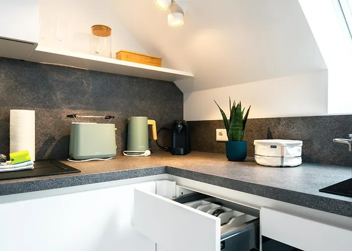 Luxuswohnung Am Steinhuder Meer - Tierfreundlich - D